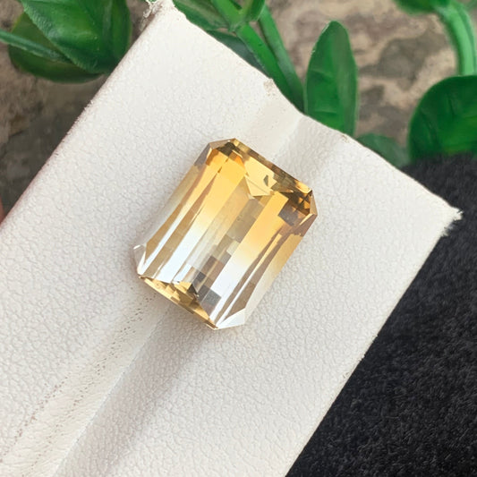 Bicolor Citrine  Gemstone
Bicolor Citrine  jewelry