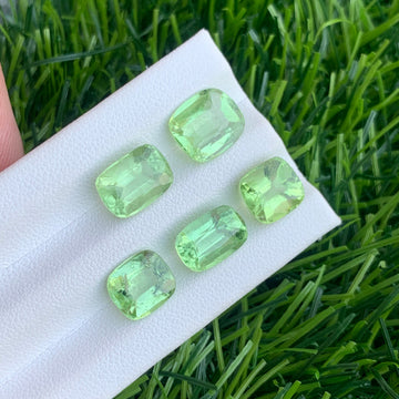 Green Peridot gemstone
Green Peridot jewelry