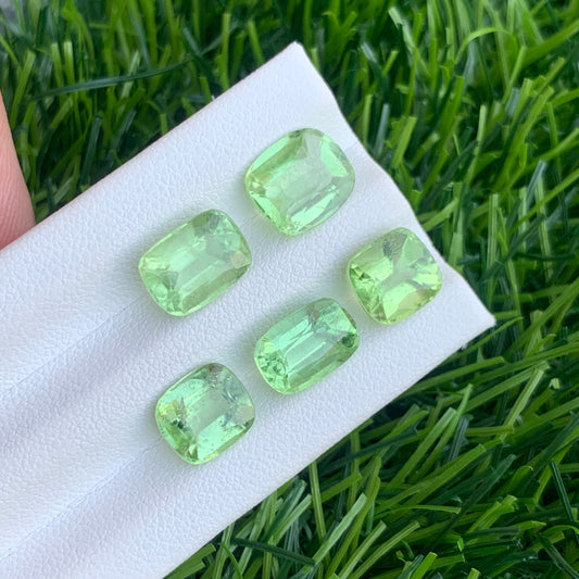 Green Peridot gemstone
Green Peridot jewelry