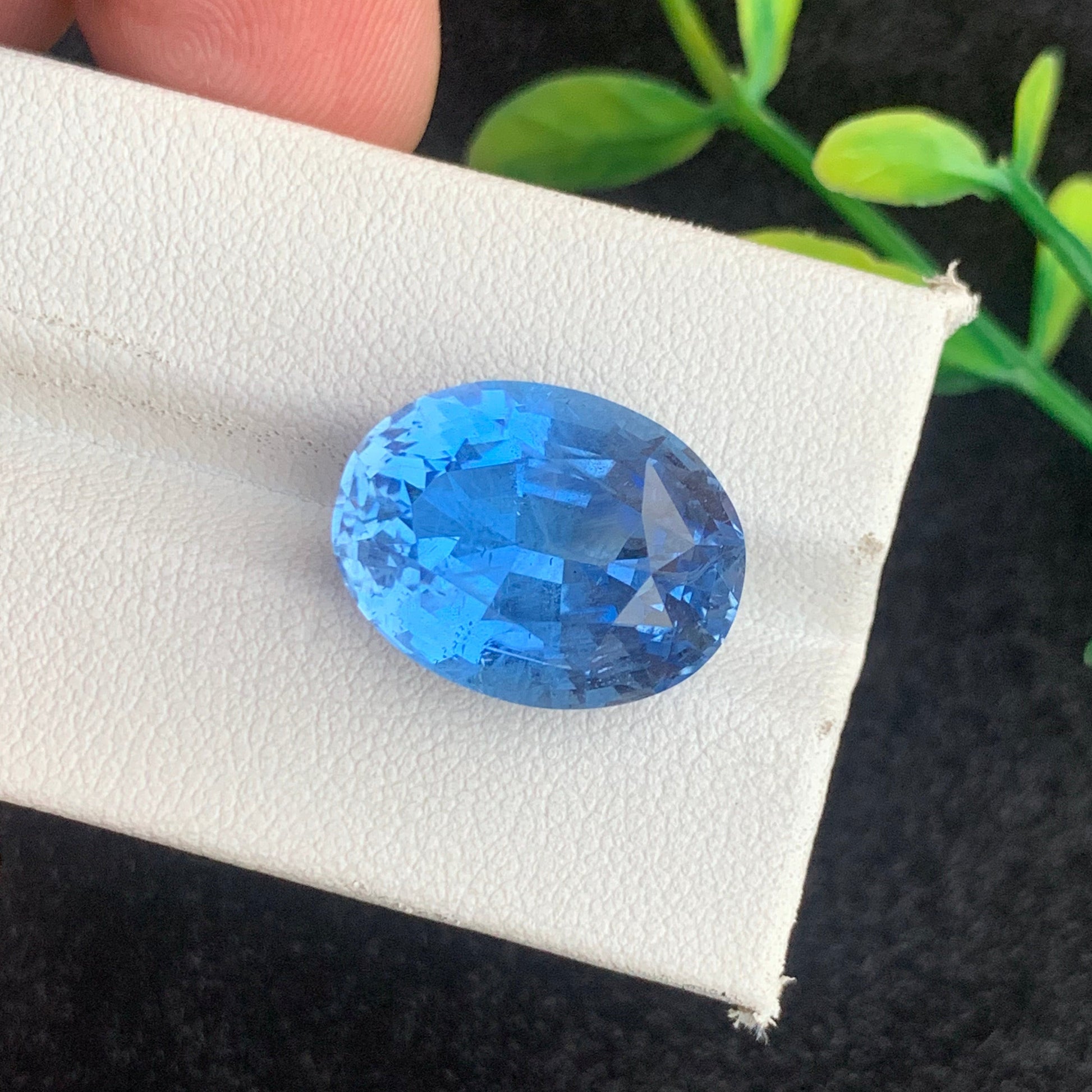 Vivid Blue Aquamarine pendant
Vivid Blue Aquamarine ring