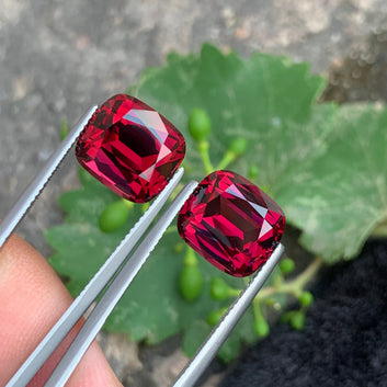 Red Garnet pair
Red Garnet earrings
Red Garnet matching stone