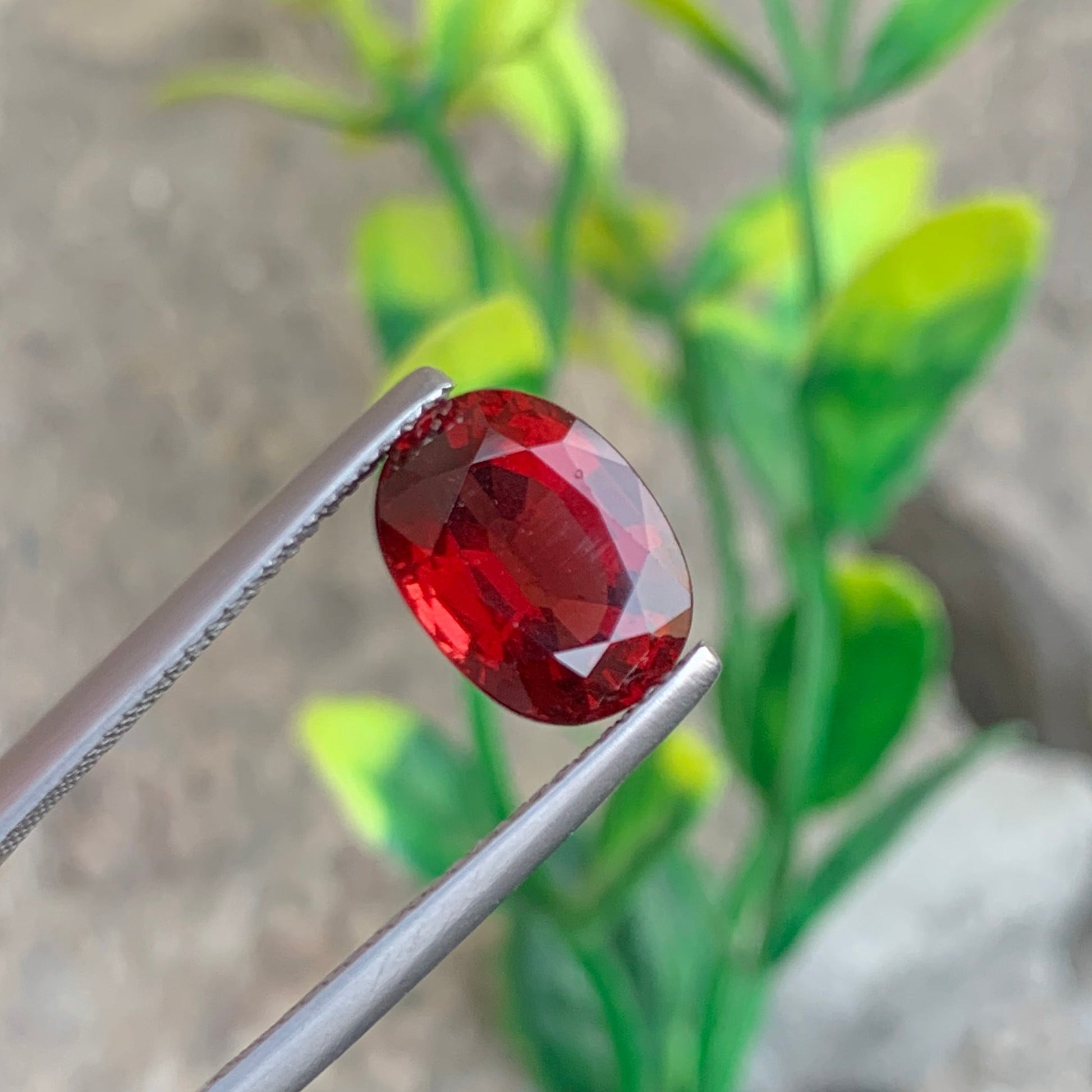 Rhodolite Garnet ring
Rhodolite Garnet pendant