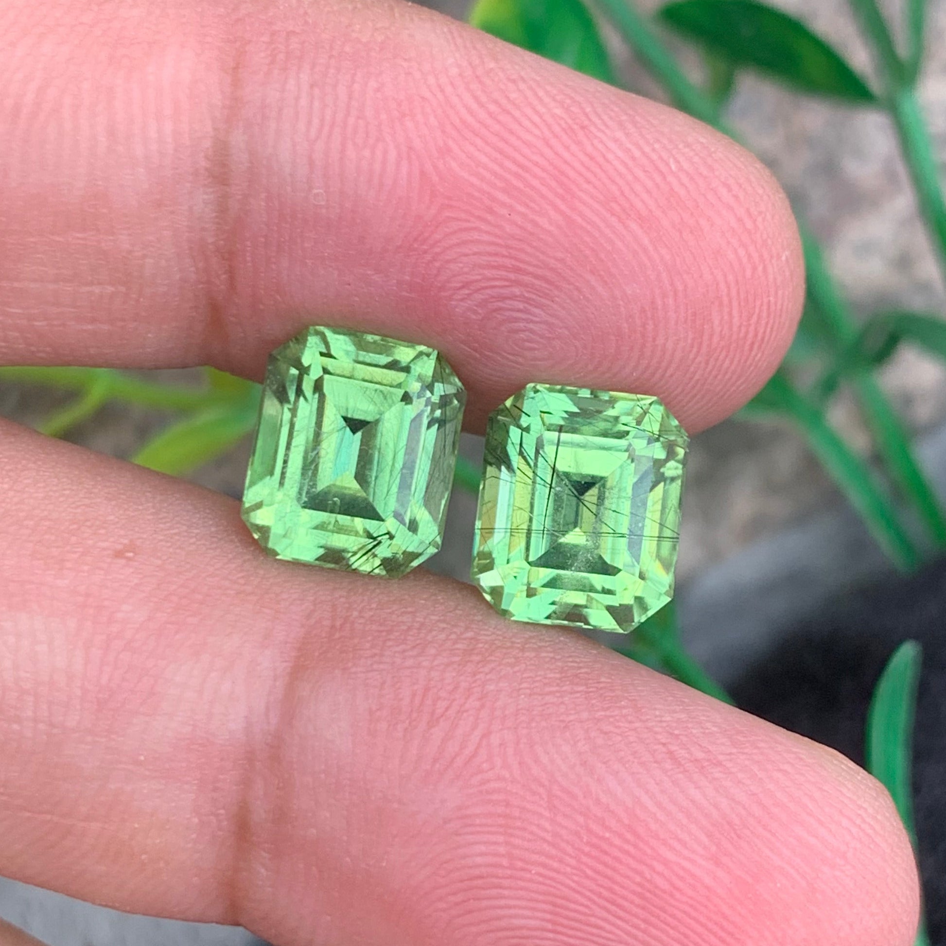 Rutile Green Peridot earrings
Rutile Green Peridot pair