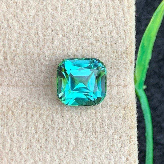 Greenish Lagoon Tourmaline
Greenish Lagoon Tourmaline jewelry