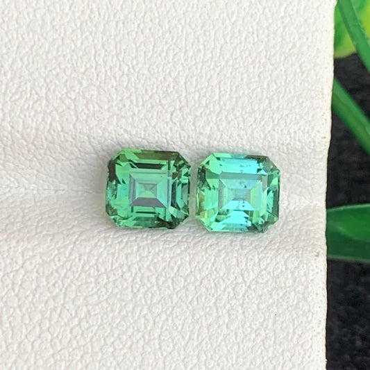 Reverse Tourmaline gemstone
Reverse Tourmaline jewelry
