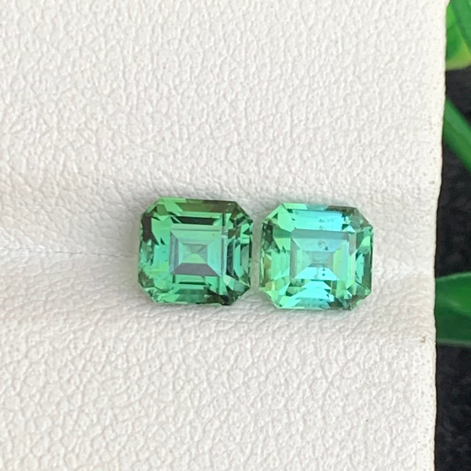 Reverse Tourmaline pair
Reverse Tourmaline earrings