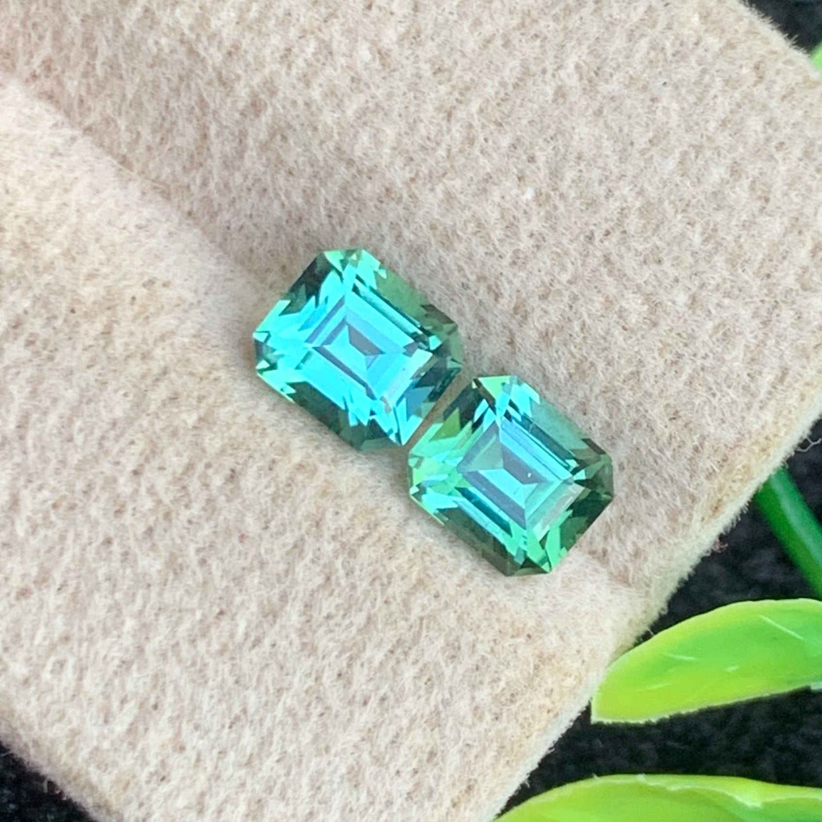 Bluish Green Tourmaline
Bluish Green Tourmaline pair