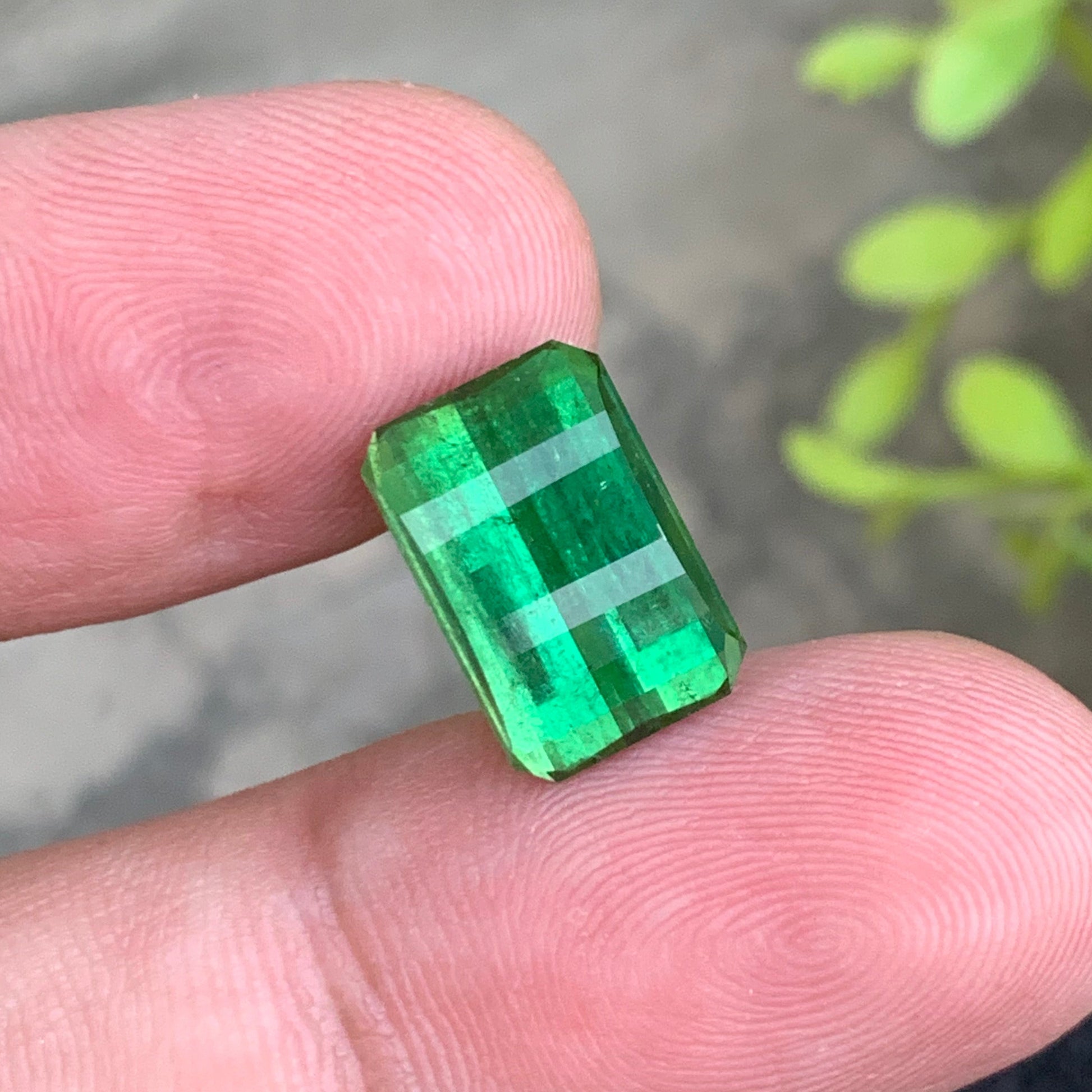 Afghanistan tourmaline