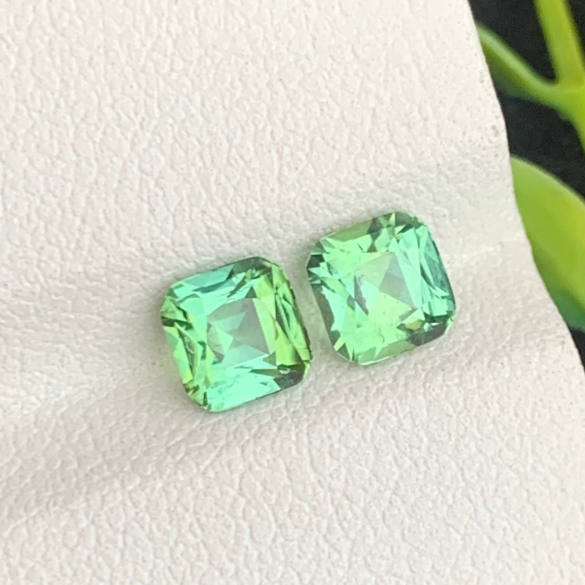 Apple Green Tourmaline pair
Apple Green Tourmaline earrings