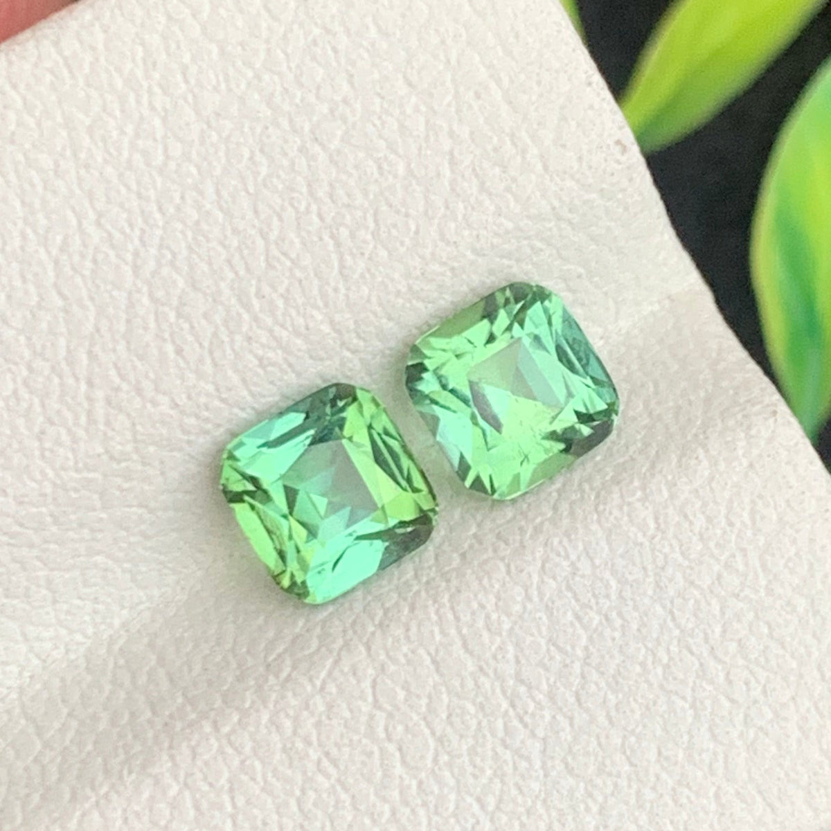 Apple Green Tourmaline rings
Apple Green Tourmaline gifts