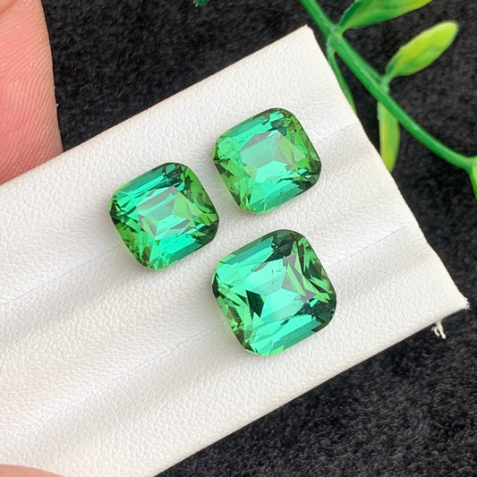 Bluish Green Tourmaline gemstone
Bluish Green Tourmaline jewelry