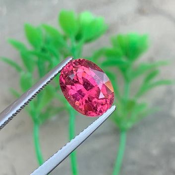 pink rubellite tourmaline
deep Pink tourmaline