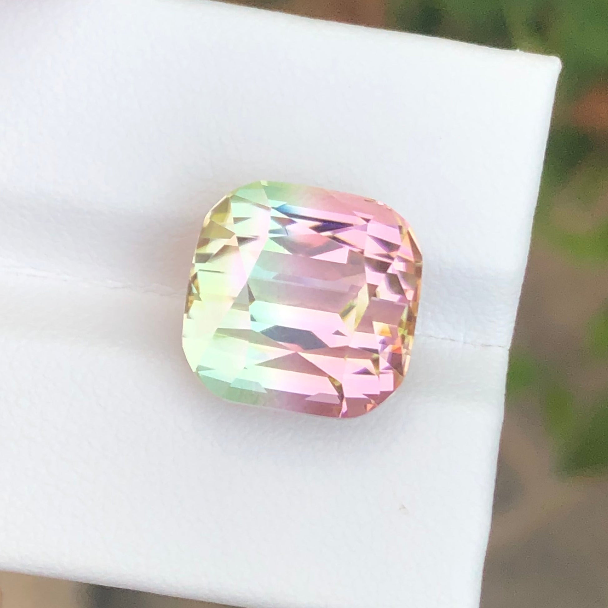 Afghan BicolorTourmaline