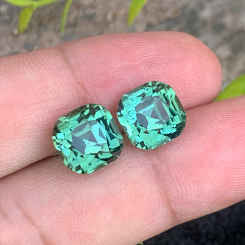 Mint Green Tourmaline earrings
Mint Green Tourmaline pair
