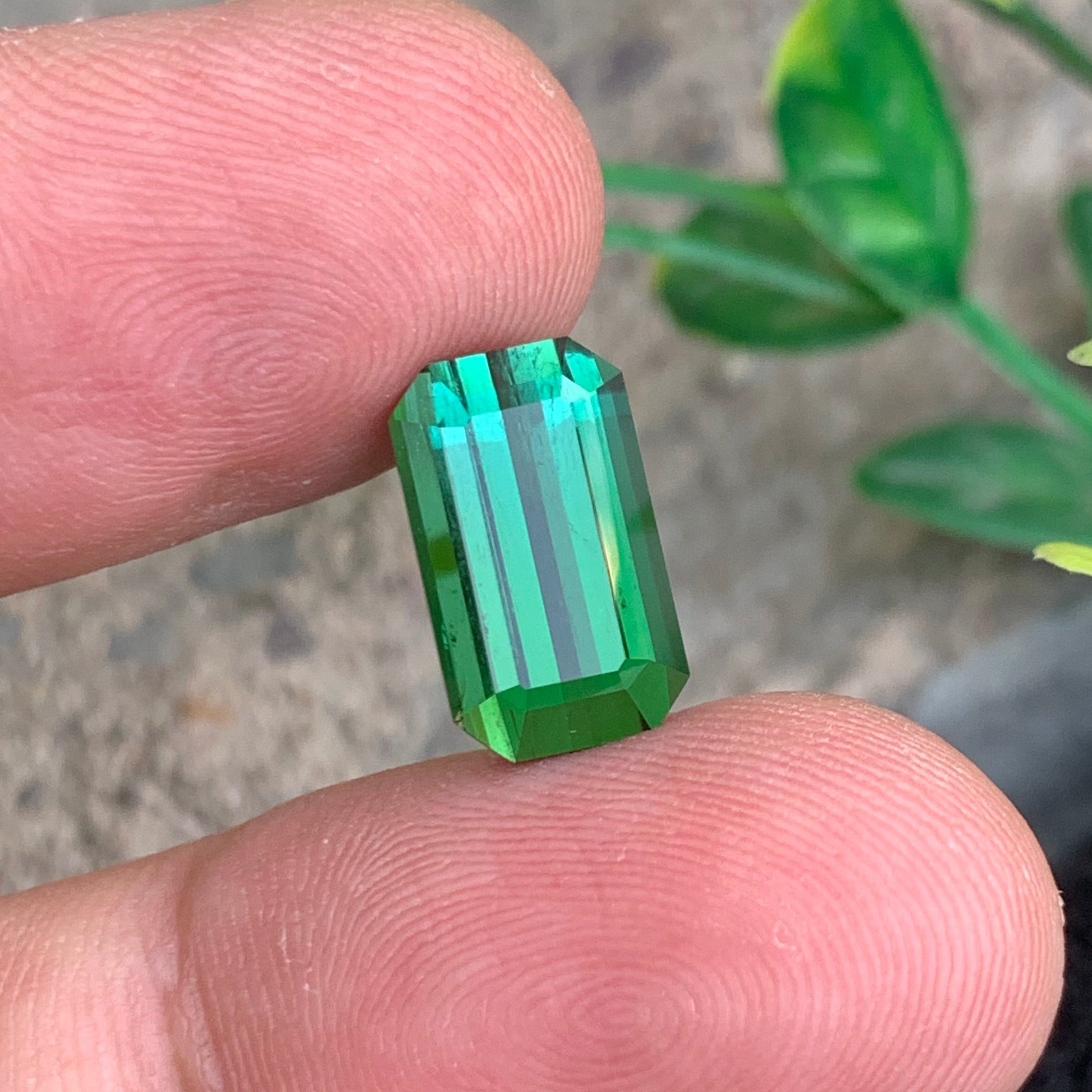 Bluish Green Tourmaline gemstone
Bluish Green Tourmaline jewelry