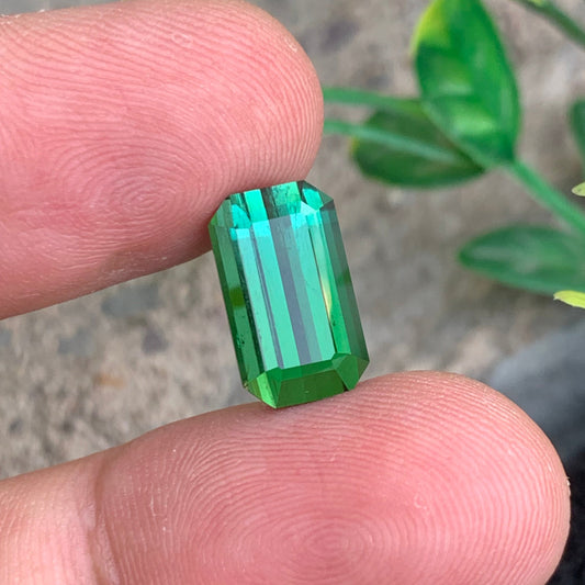 Bluish Green Tourmaline gemstone
Bluish Green Tourmaline jewelry