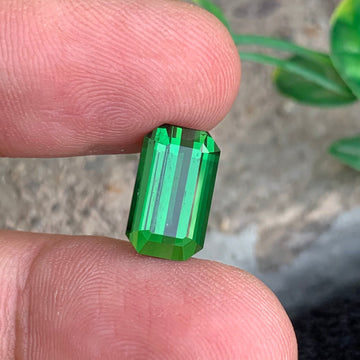 Green Tourmaline Gemstone
Green Tourmaline jewelry