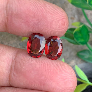 Rhodolite Garnet pair
Rhodolite Garnet earrngs