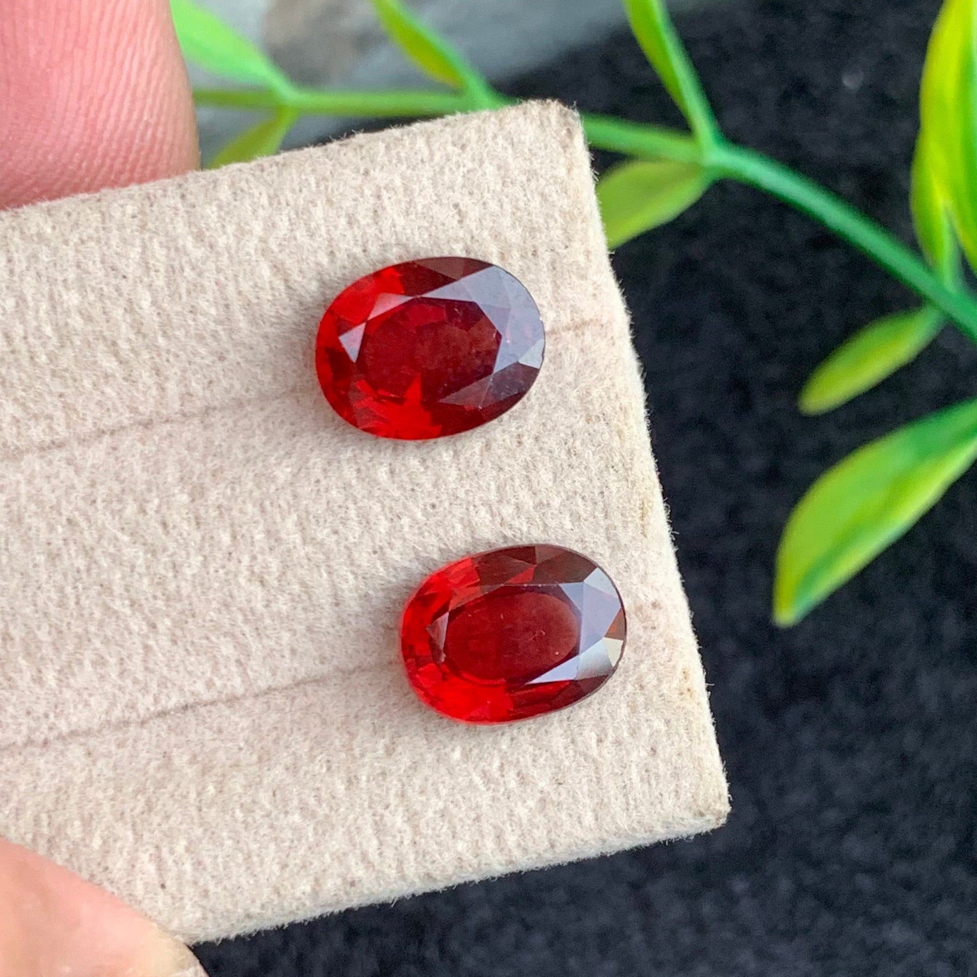 Rhodolite Garnet pair
Rhodolite Garnet  earring