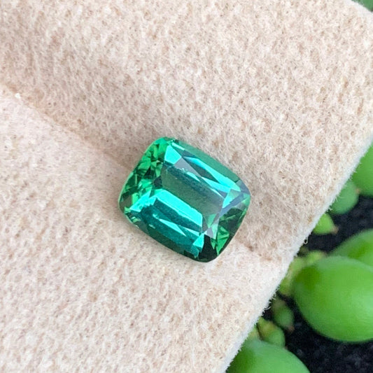 Bluish Green Tourmaline gemston
Bluish Green Tourmaline jewelry