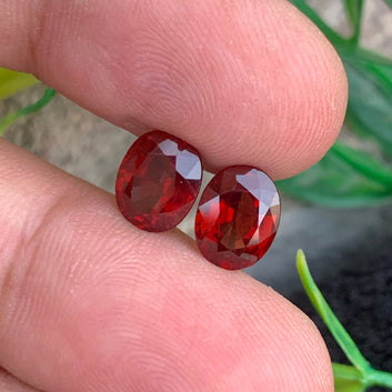 Rhodolite Garnet pair
Rhodolite Garnet earrings