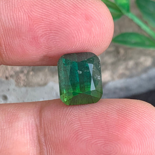  Bicolor Tourmaline gemstone
 Bicolor Tourmaline jewelry