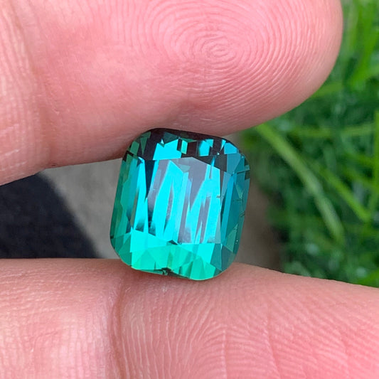 bicolor tourmaline