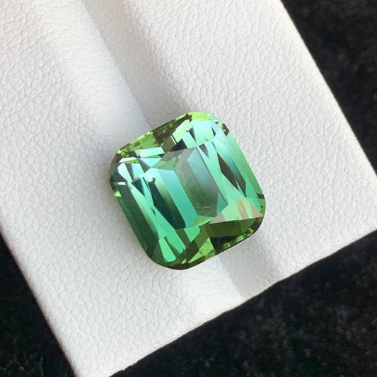 Bicolor Tourmaline Gemstone
Bicolor Tourmaline Jewelry