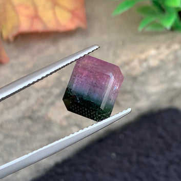 Bi color Tourmaline