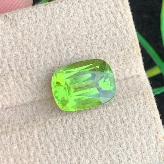 Green Peridot gemstone
Green Peridot jewelry