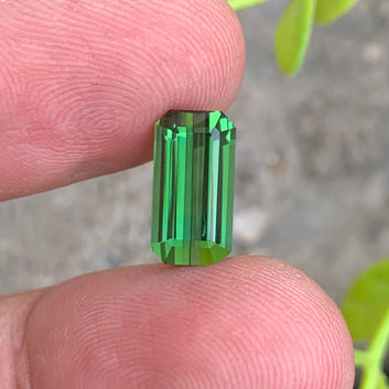 Forest Green Tourmaline 
Forest Green Tourmaline  jewelry