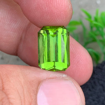 10.00 Carats Fresh Green Peridot Gemstone with scissor cut