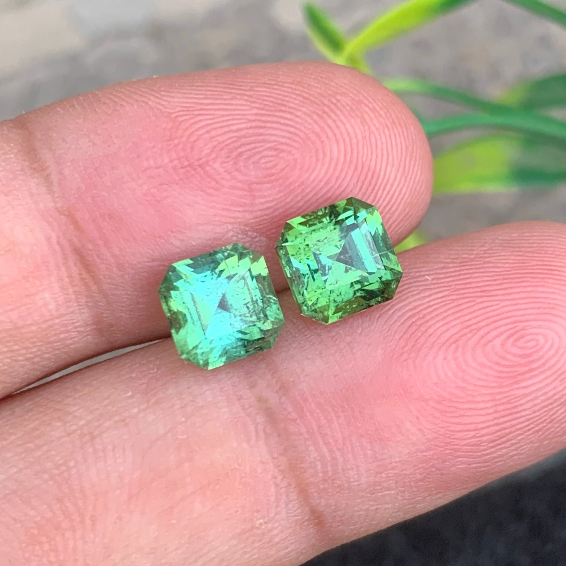 Green Tourmaline Pair
Green Tourmaline  Earings