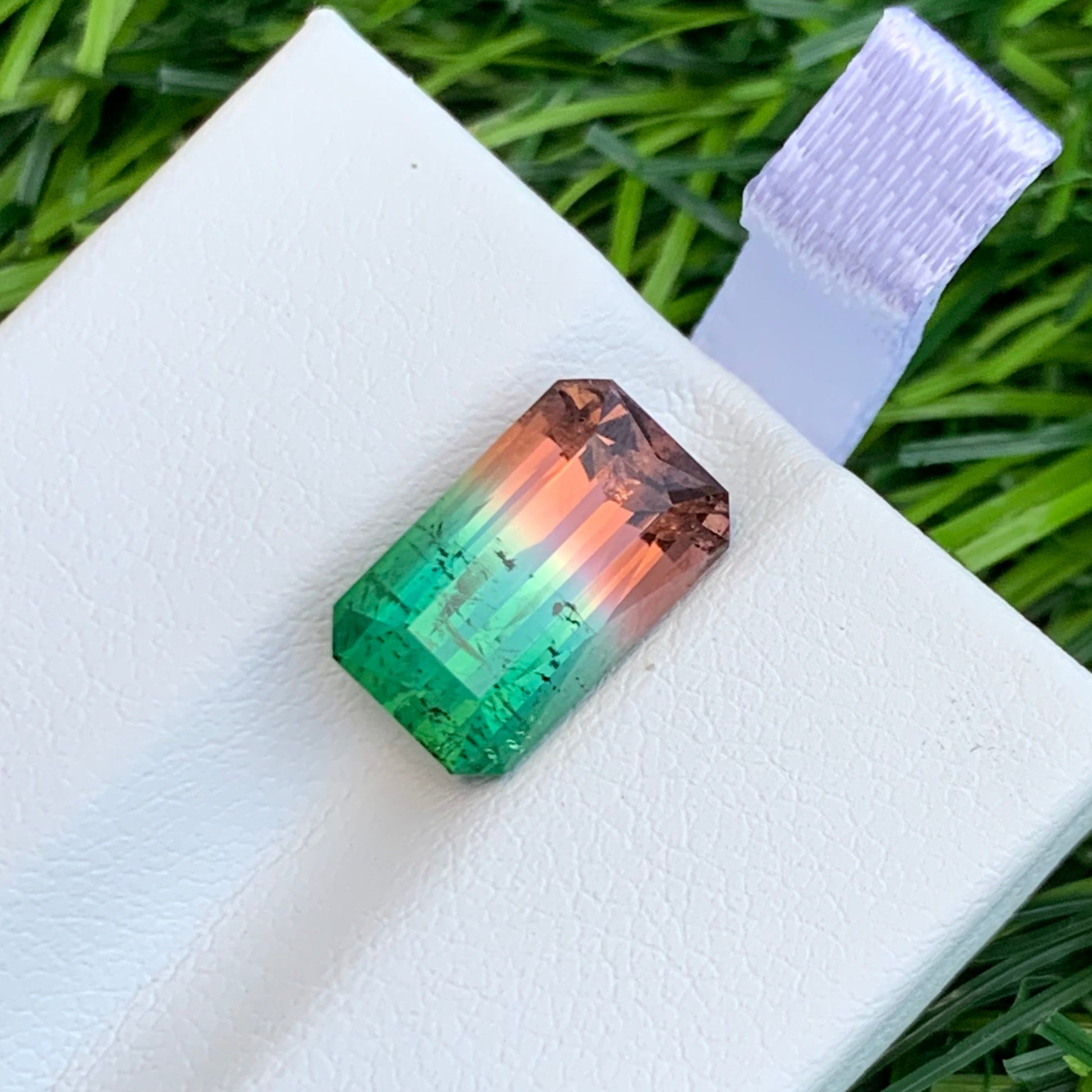 watermelon Tourmaline