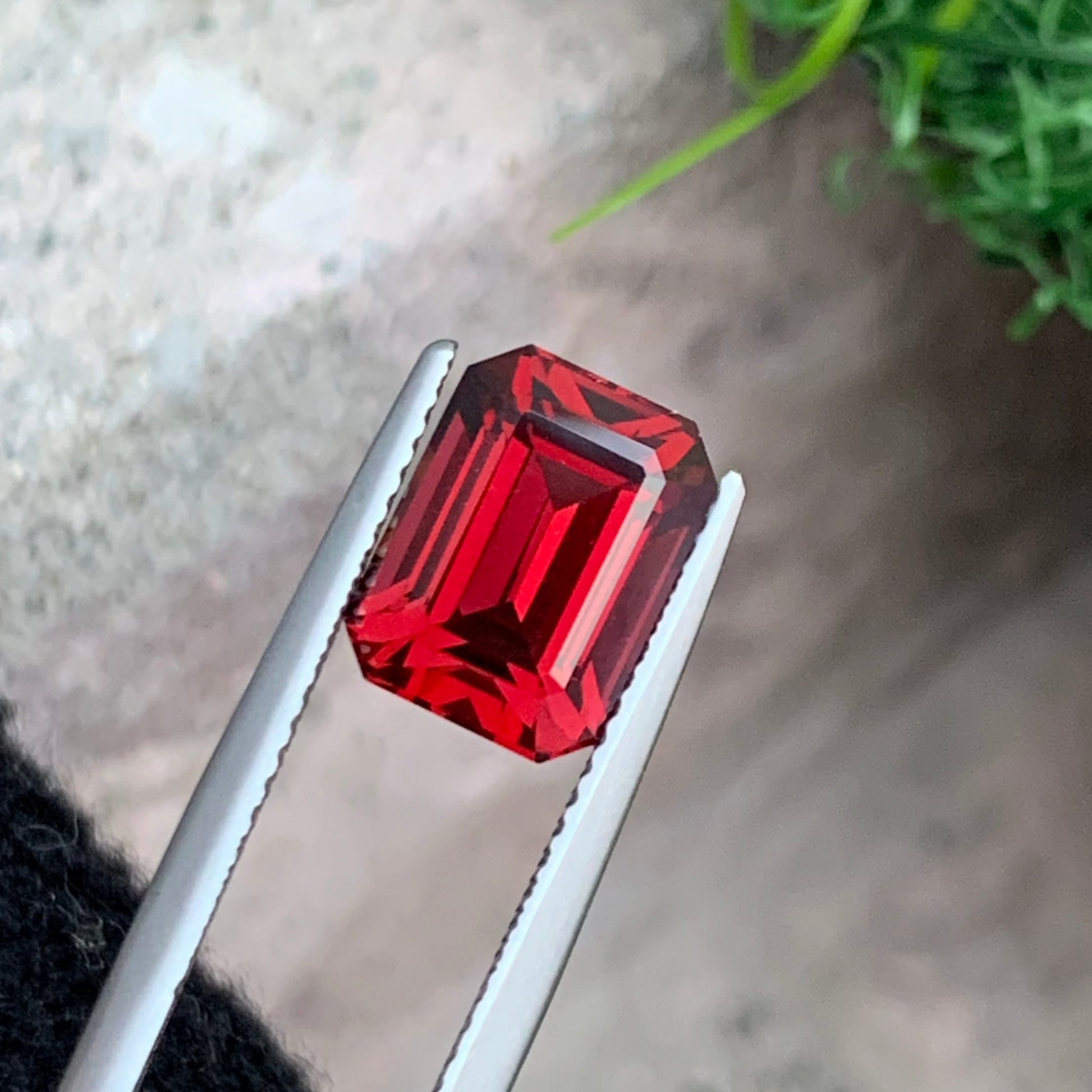 Red Garnet