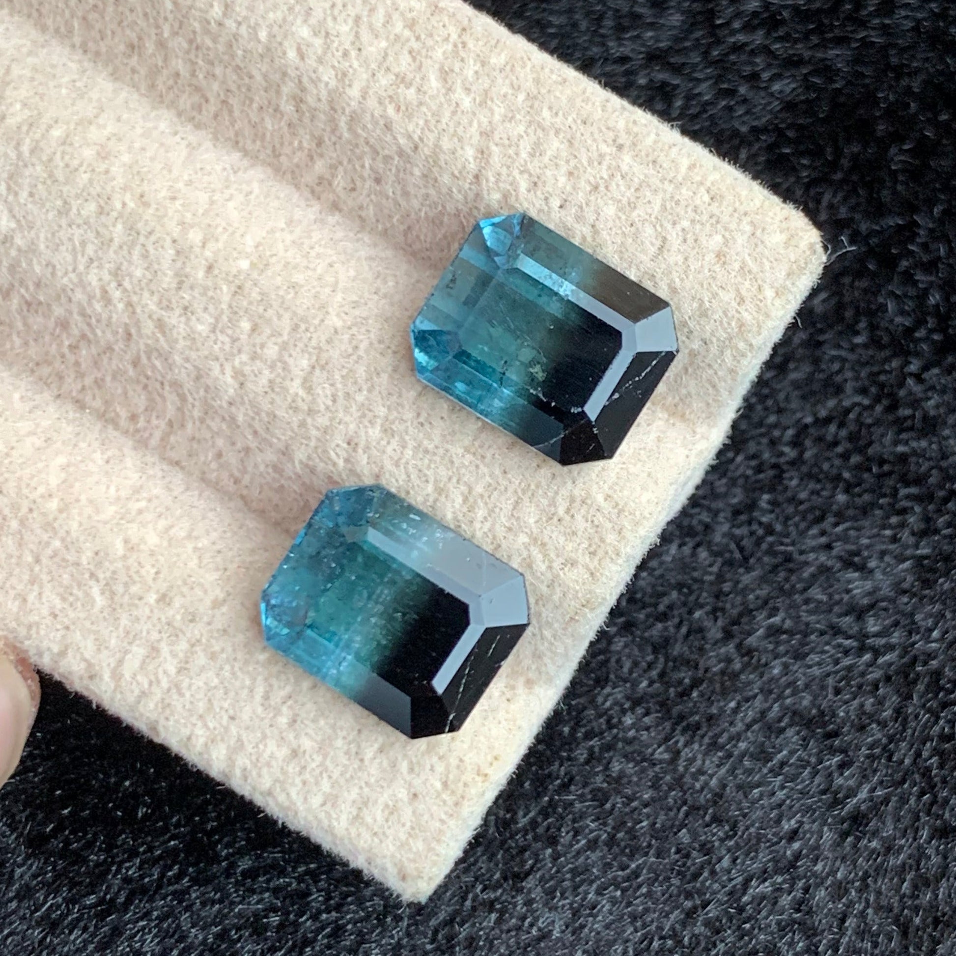 Bicolor Tourmaline earrings
Bicolor Tourmaline pair
Bicolor Tourmaline dual tone