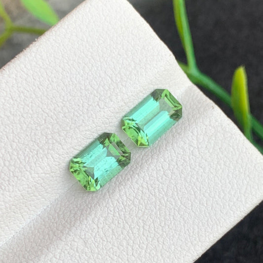 Bluish Green Tourmaline stone
Bluish Green Tourmaline jewelry
Bluish Green Tourmaline gift