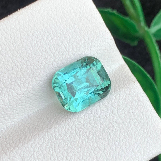 Seafoam Green Tourmaline gemston
Seafoam Green Tourmaline jewelry