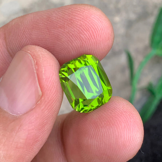 Green Peridot gemstone
Green Peridot jewelry