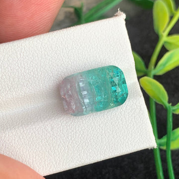 Bicolor Tourmaline gemstone
Bicolor Tourmaline jewelry