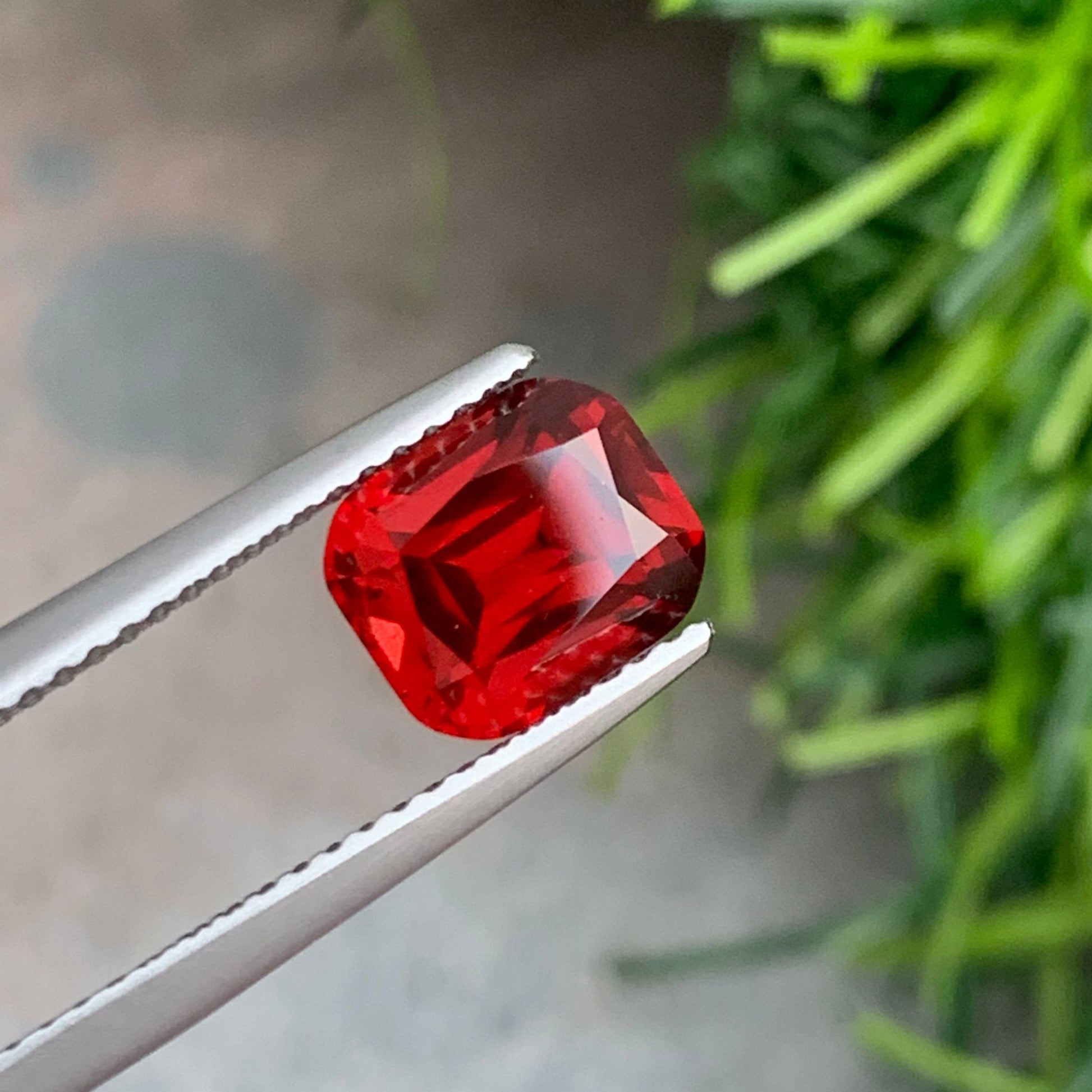 Red Garnet