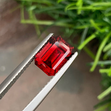 Red Garnet