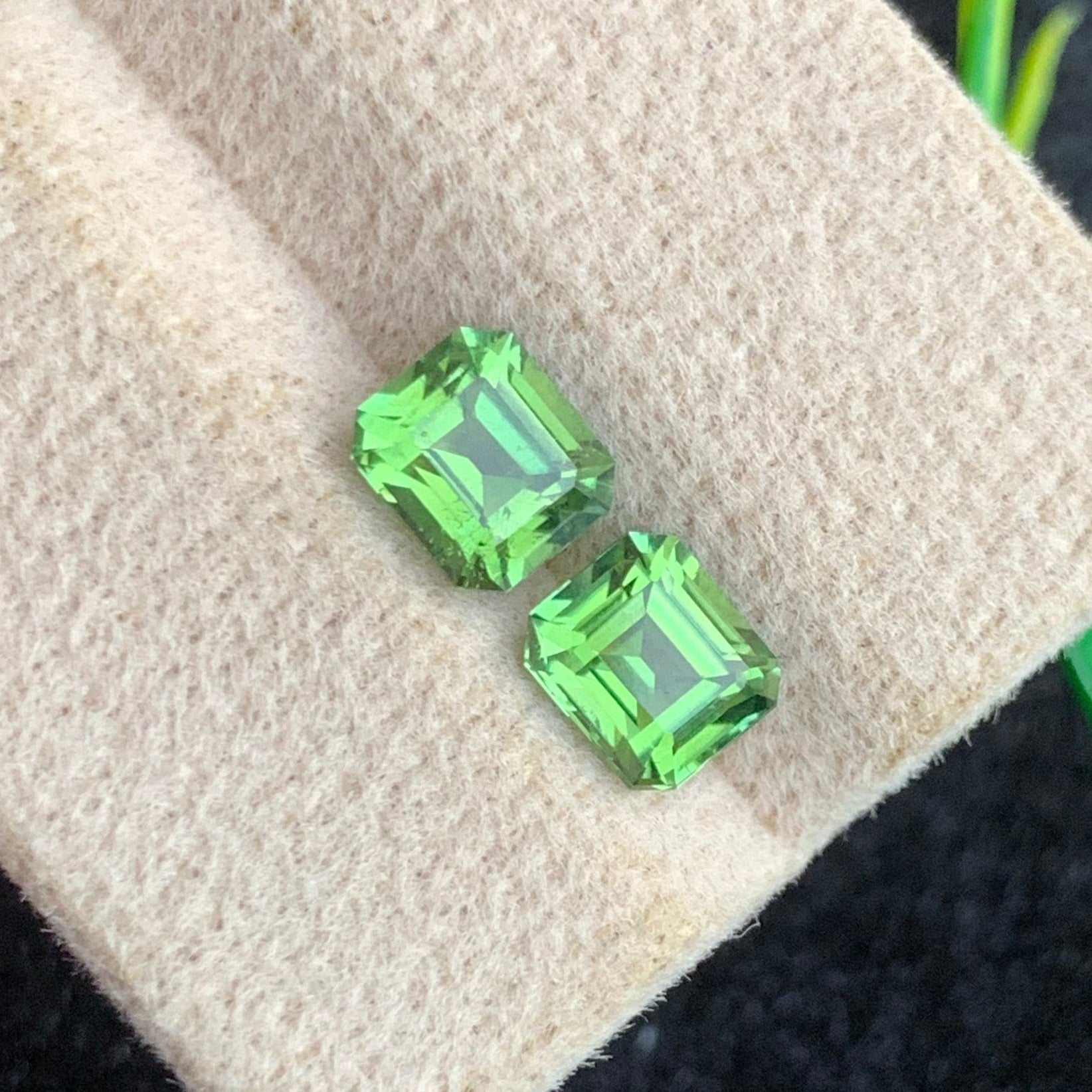 Chrome Tourmaline gemstone
Chrome Tourmaline jewelry
