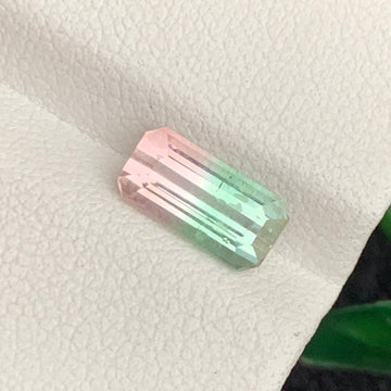 Bicolor Tourmaline gemstone
Bicolor Tourmaline jewelry