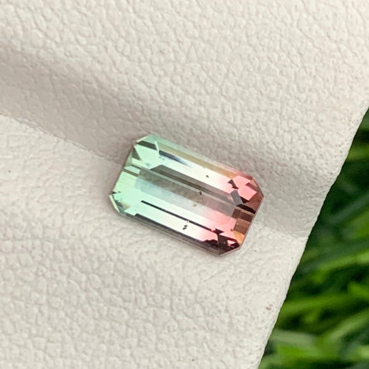 Bicolor Tourmaline gemstone
Bicolor Tourmaline jewelry