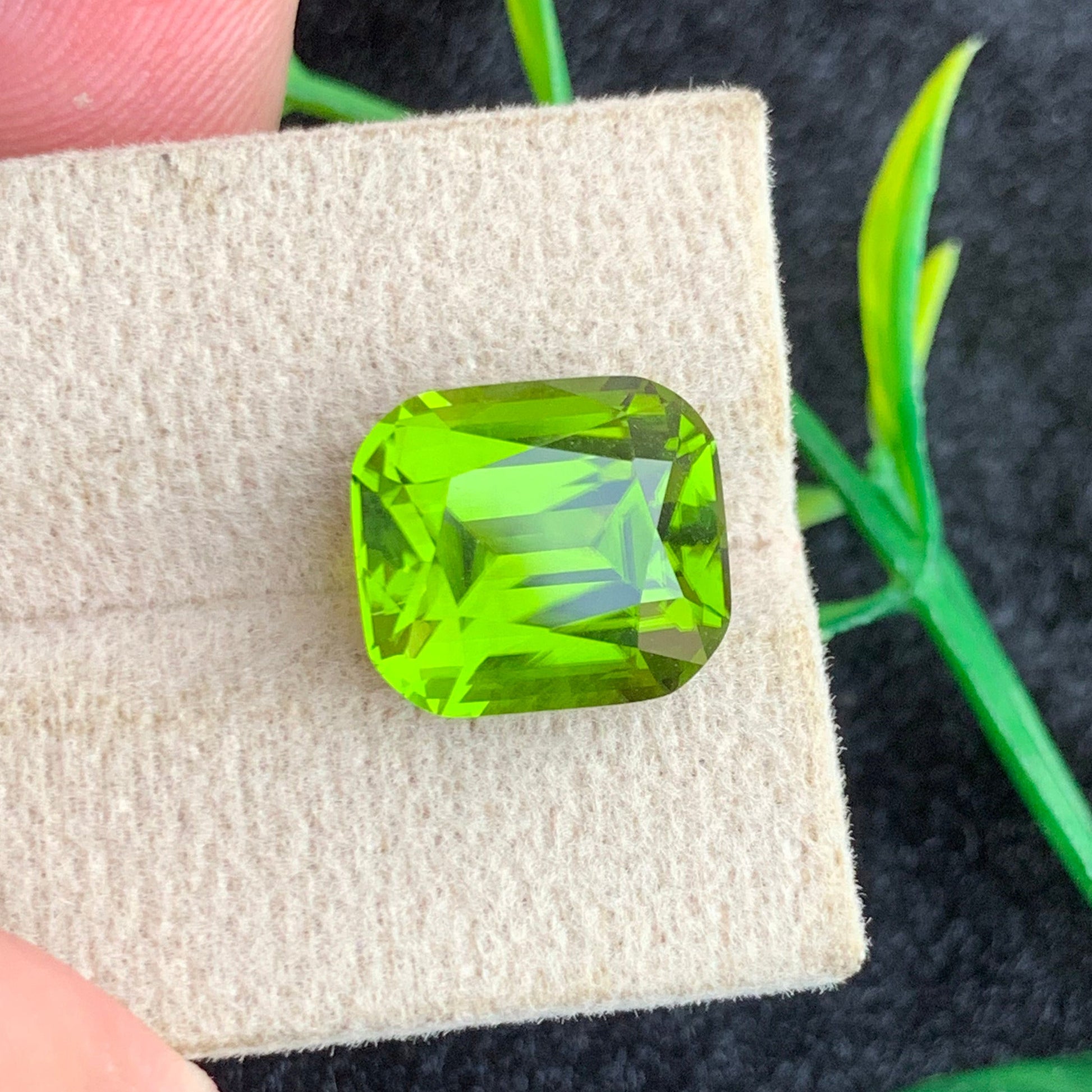 Green Peridot gemstone
Green Peridot  jewelry