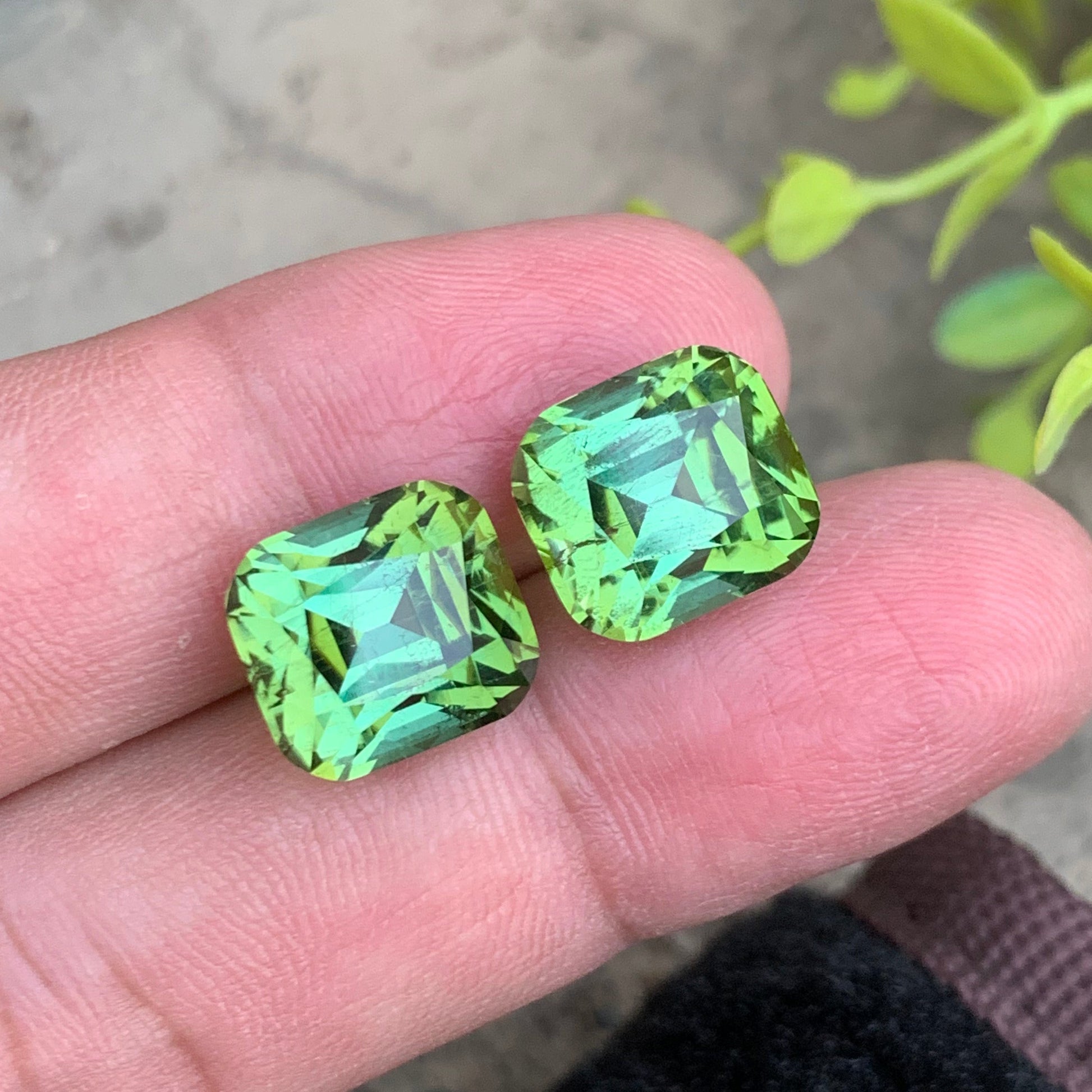 Bluish green tourmaline pair
yellow green tourmaline pair