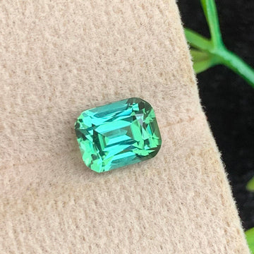 Bluish Green Tourmaline gemstone
Bluish Green Tourmaline jewelry