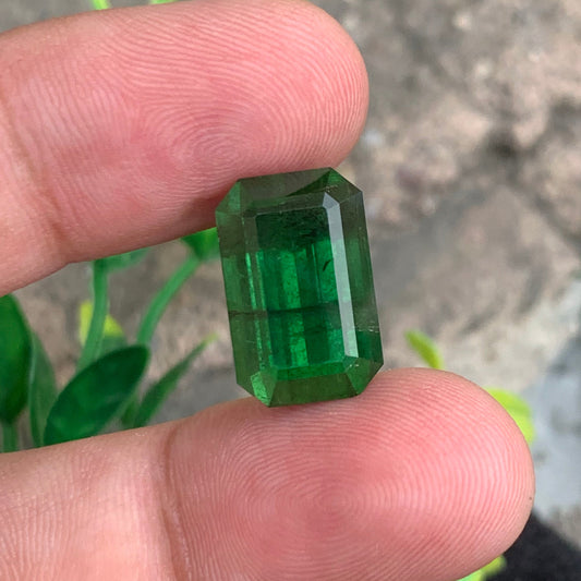 Hot Green Tourmaline
Hot Green Tourmaline jewelry
Hot Green Tourmaline gift
