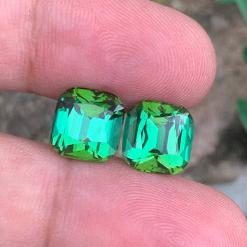 Bluish Green Tourmaline pair
Bluish Green Tourmaline earrings